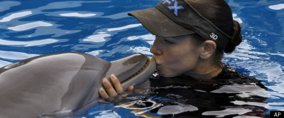Dolphin Tale