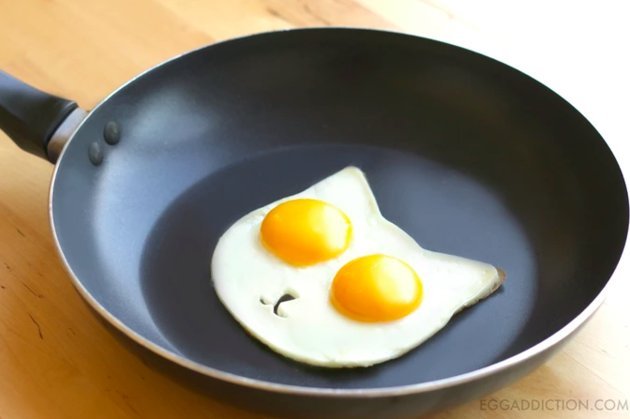 egg addiction