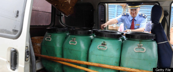 China Cooking Oil