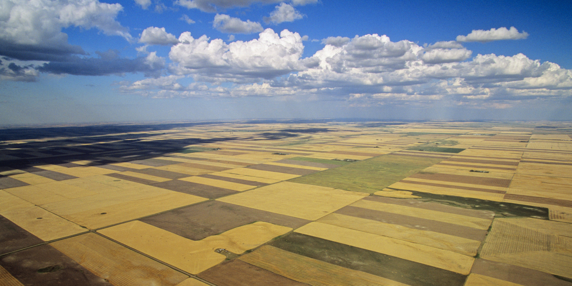 the-saskatchewan-boom-william-kaplin