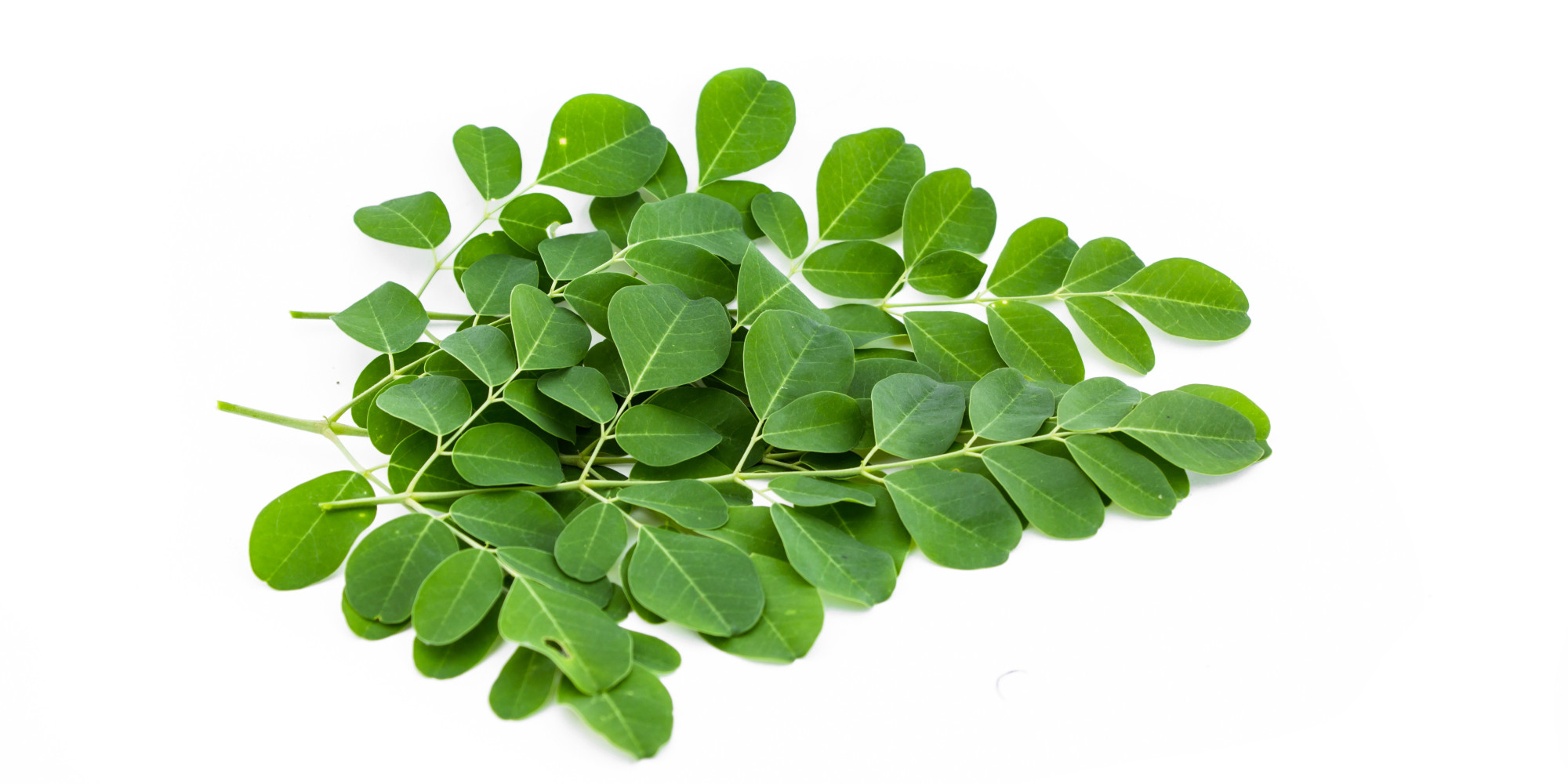 moringa-health-benefits-7-nutritional-reasons-to-add-it-to-your-diet