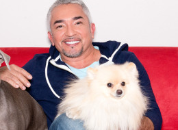 Mondays With Marlo - Healthy Dog Tips With Cesar Millan and Dr. Kim Rosenthal