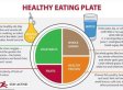 Healthy+eating+plate+australia