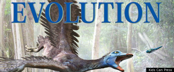 Evolution Book For Kids