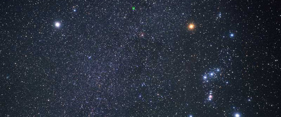 STELLE