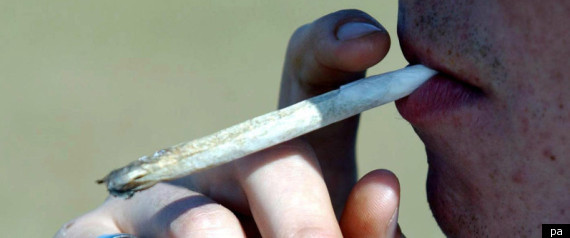Cannabis