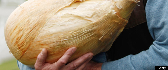 Worlds Biggest Onion Grown By Peter Glazebrook UK Man Weighs Almost