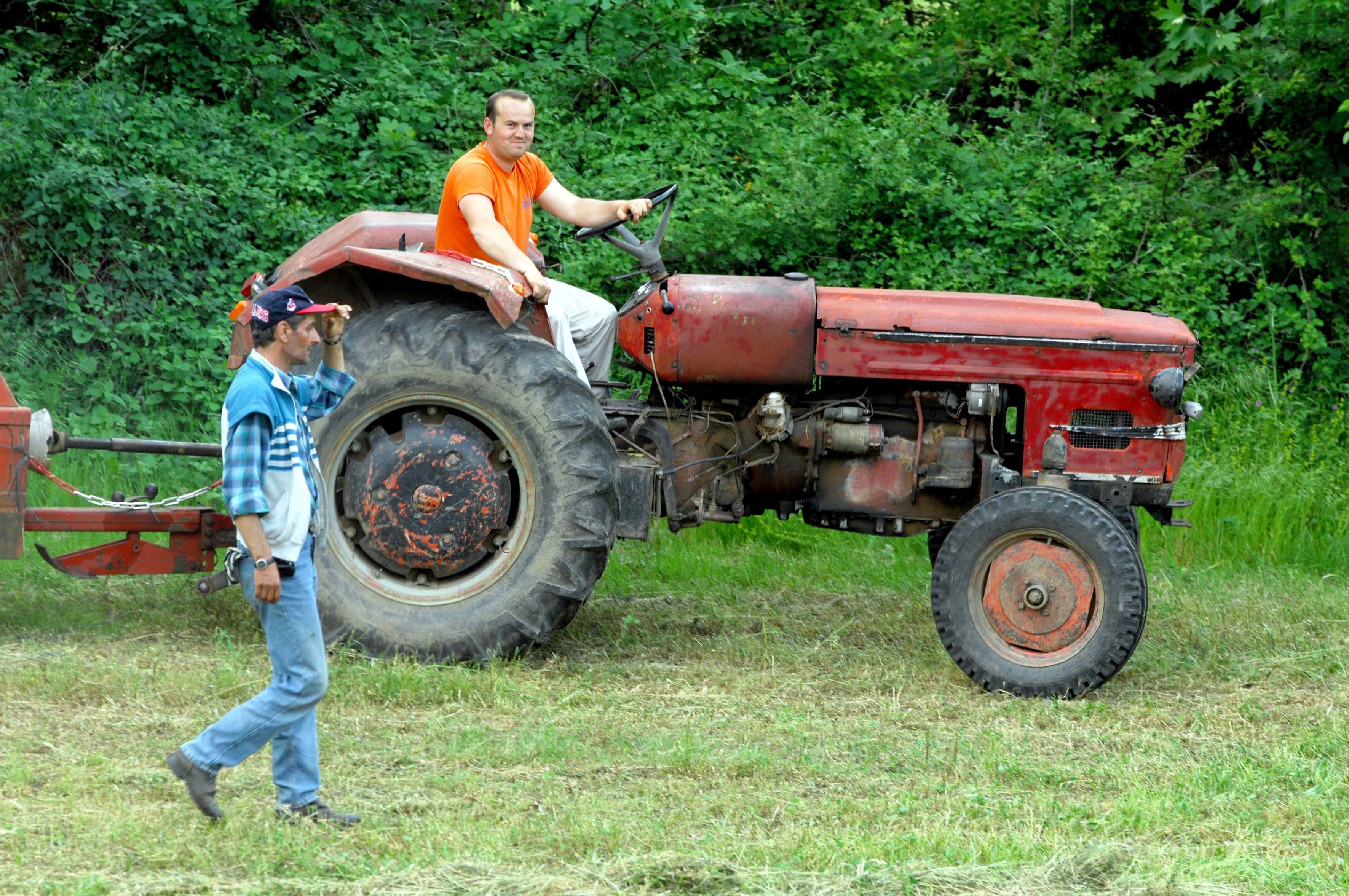 agrotes