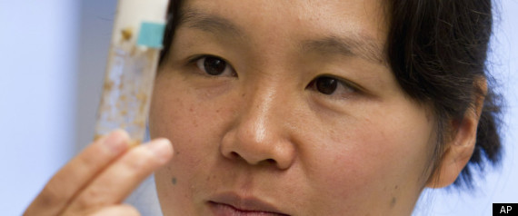 Macarthur Genius Grants