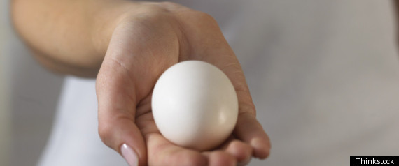 Sex Cells The Medical Market For Eggs And Sperm