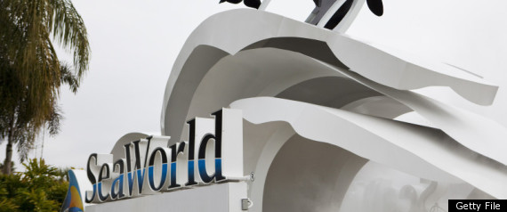 Seaworld Death Video