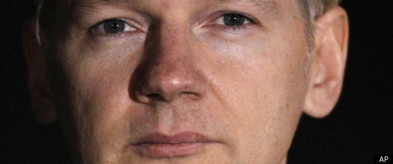 Wikileaks Book