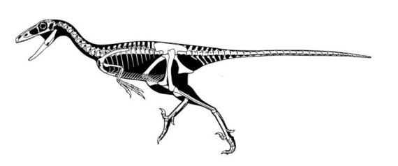 Dinosaur