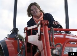 NDP May Hold Balance of Power In Ontario