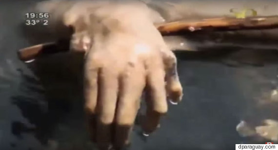mano chupacabra