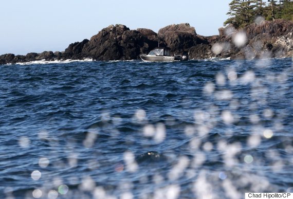 tofino boat sinking