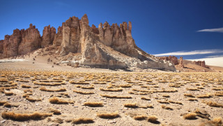 atacama desert 2014