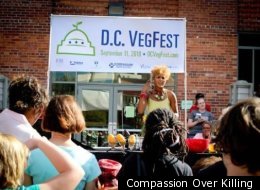 D.C. Fall Festival Primer: 11 Events To Check Out (PHOTOS)