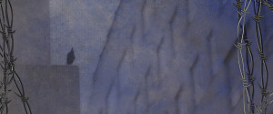 reja