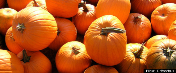 Pumpkin