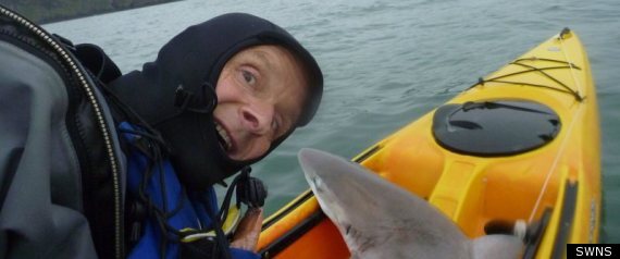 Kayak Shark