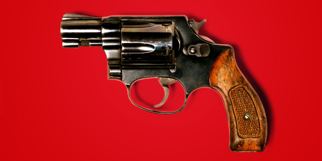 Commentary essay on gun control