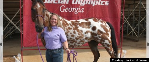 Equine Therapy