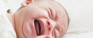 bebe