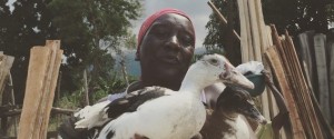 patos