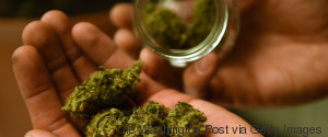 weed