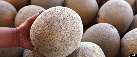 Cantaloupe