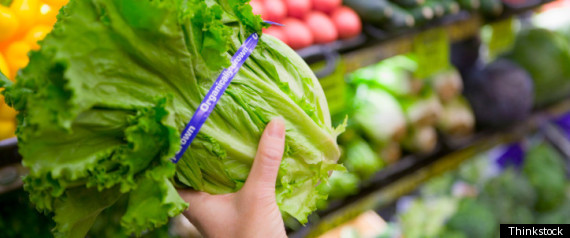 California Lettuce Recall