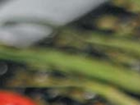 Green Grill