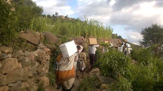 yemen