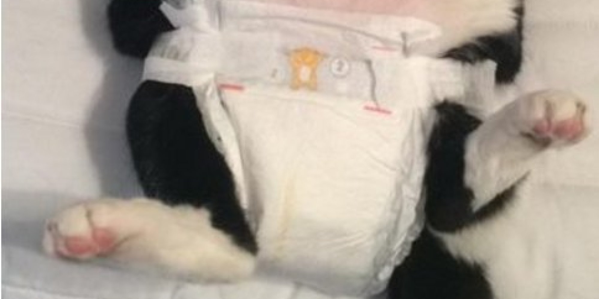 Pregnant Woman Finds Ingenious Way To Practise Changing Nappies HuffPost UK