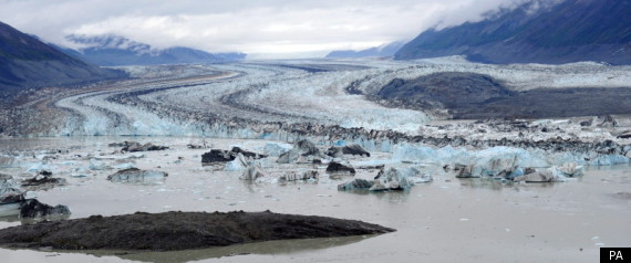 Arctic