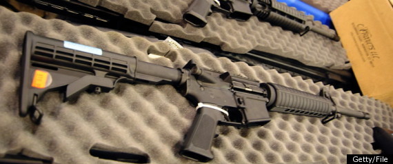 Semiautomtic Rifle