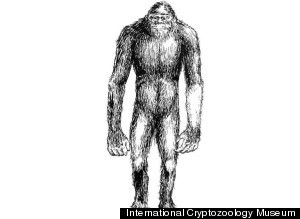 Russian Yeti