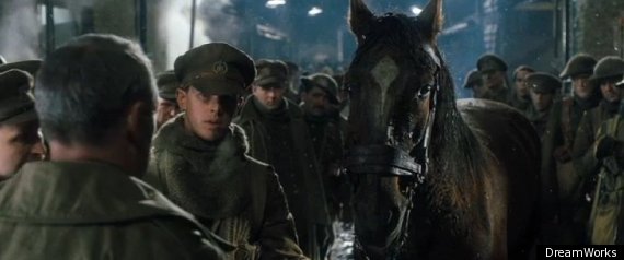 War Horse