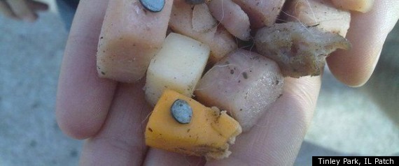 Nail Cheese