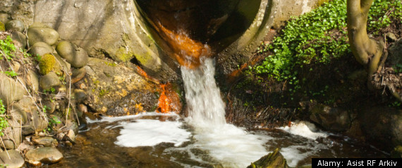 Sewage Viruses