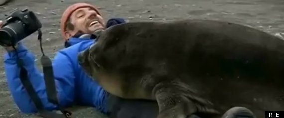 Seals