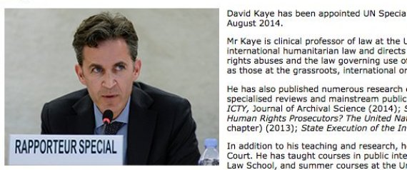 DAVID KAYE UN
