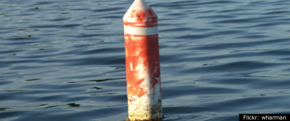 Boat Strands Divers Florida