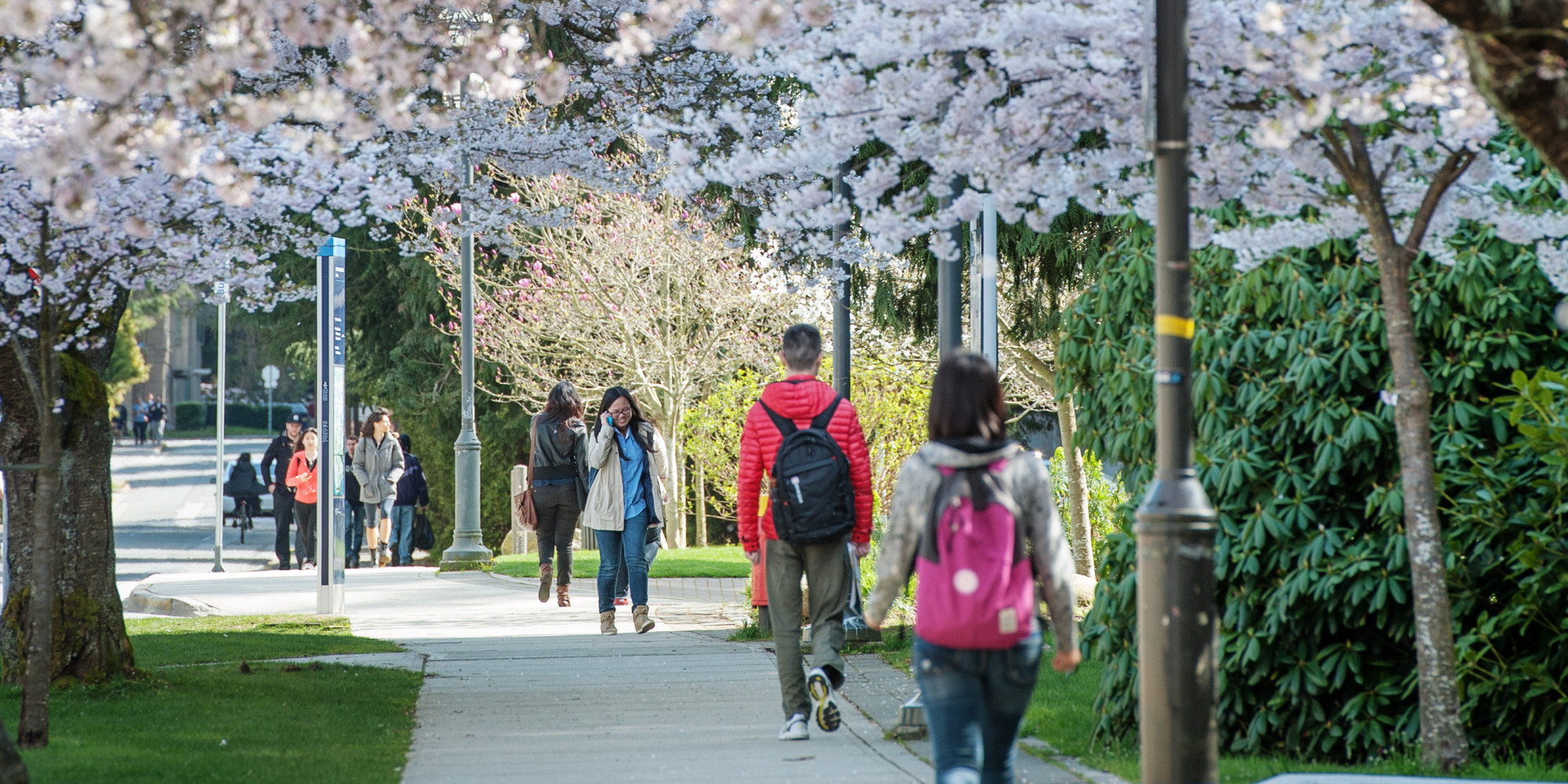 University Of British Columbia Sex Assault Policies Need Overhaul: Panel - Huffington Post Canada