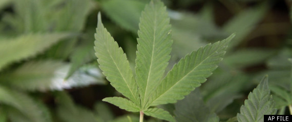 California Marijuana Dispensaries