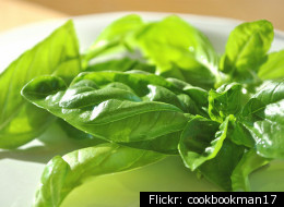 Three Sweet Ways With Bitter Greens