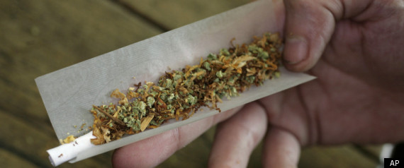 Dutch Marijuana Law