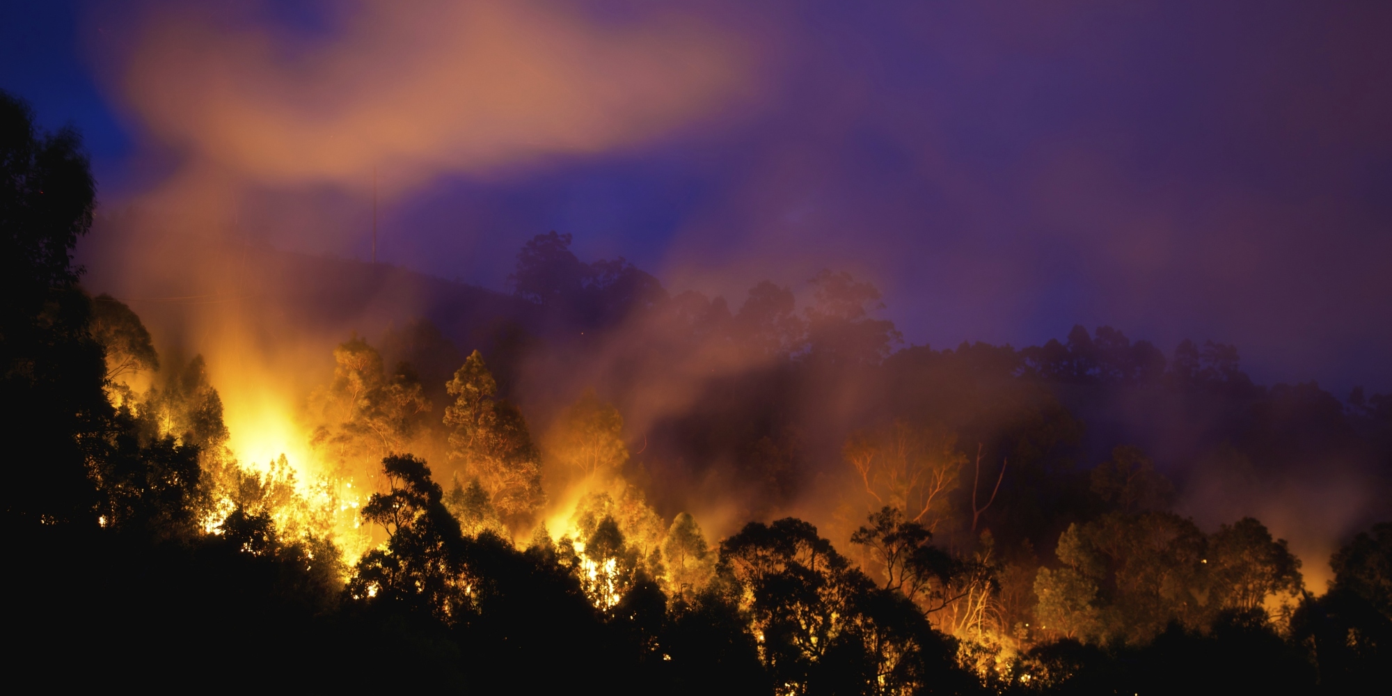 Bushfire Season 2015 'Going To Get Very Bad'
