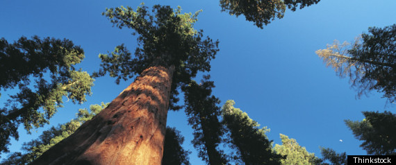 California State Parks Saved From Closure